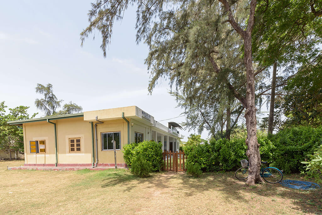 Divinguru hostel entrance garden view